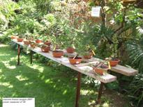 Mostra Bonsai